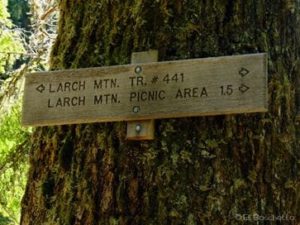 Larch Mountain Trail Sign