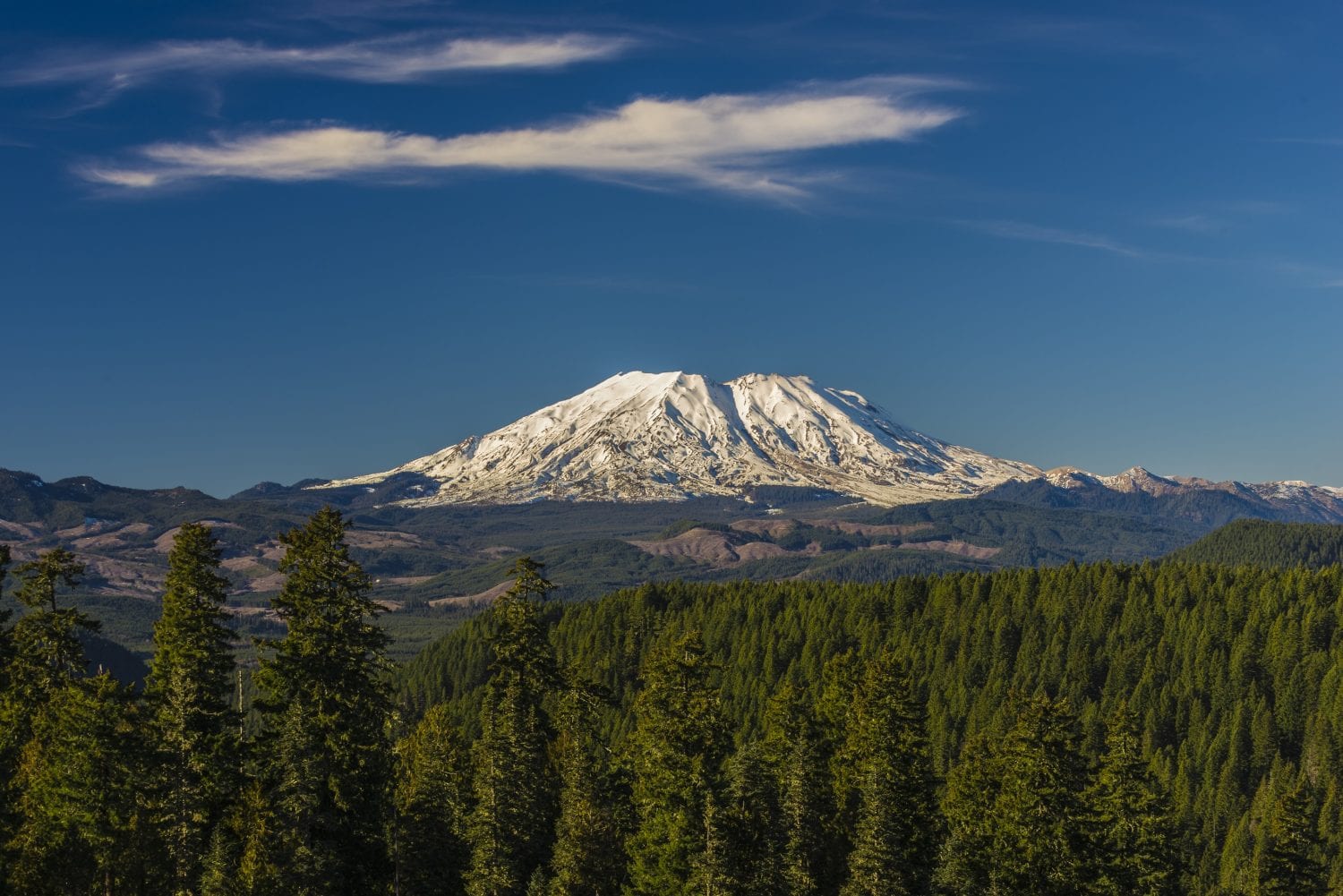 Mount St Helens :: Carson Ridge Luxury Cabins