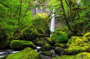 Elowah Falls in Oregon is one of the most beautiful in Columbia Gorge.