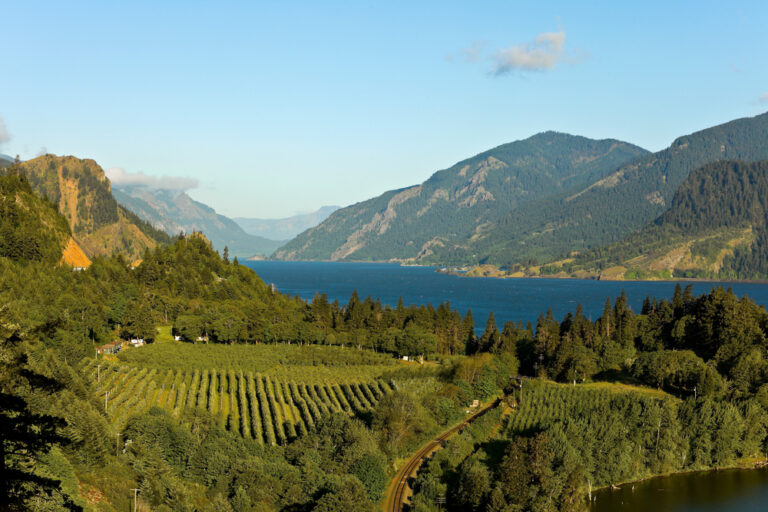 Overlooking one of the many Columbia River Gorge wineries and vineyards along the river