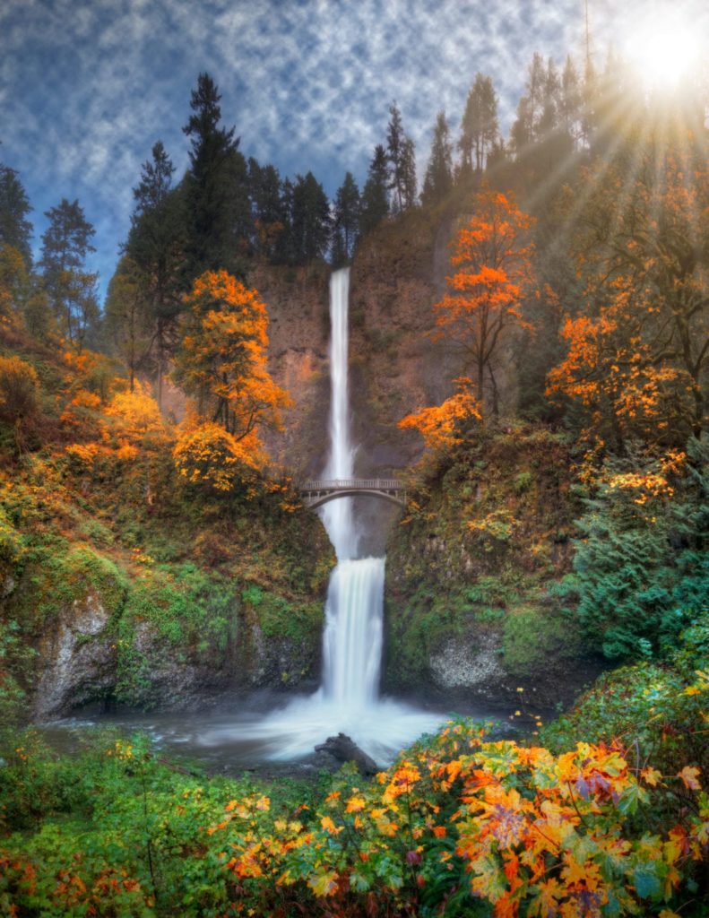 Changing leaves and sunlight surround Multnomah Falls on a beautiful autumn day in Oregon.