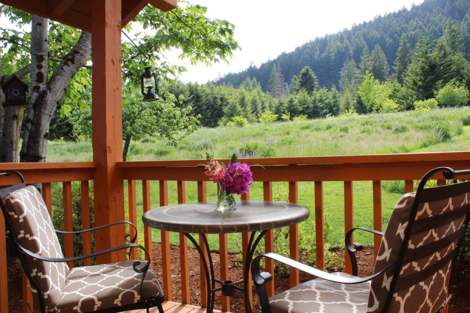 A view of the evergreen trees on Carson Ridge from a cabin porch at Carson Ridge Luxury Cabins in Washington State.