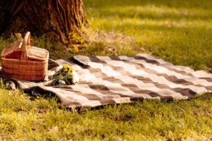 picnic blanket and basket at Thunder Island in Oregon.