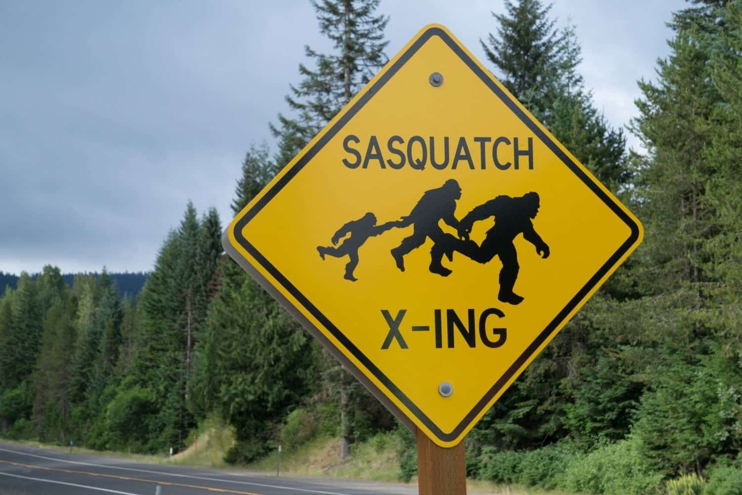 5 Times Bigfoot Was Seen Recently In Washington State