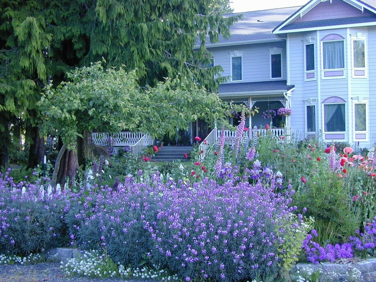 Sea Cliff Gardens B&B with blooming flowers