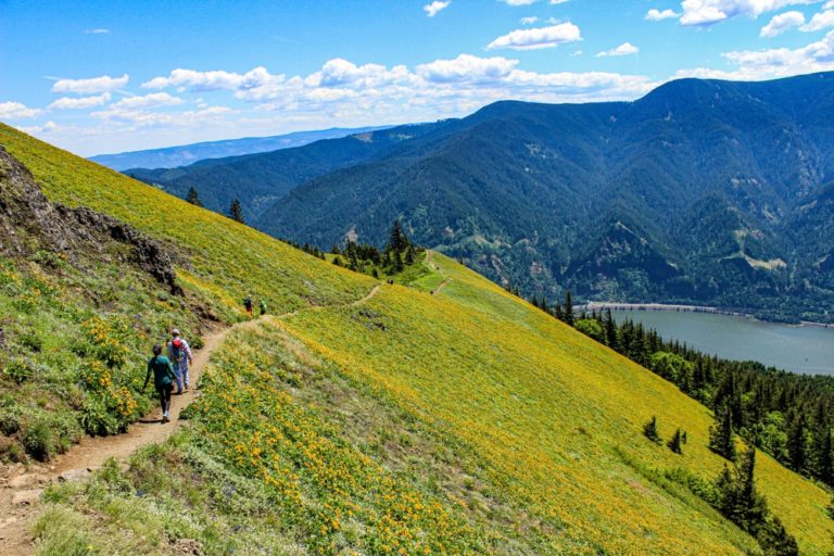 The beautiful Dog Mountain Trail, one of the most popular Gorge hikes for Washington wildflowers in spring