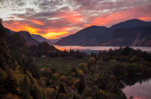 View of one of the top Hood River Wineries near Evoke Winery in the Columbia River Gorge at sunset