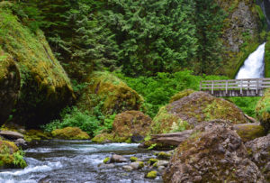 Hiking along Tanner Creek to Wahclella Falls in the Columbia River Gorge