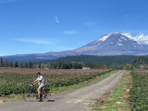 Man biking on trails in the Columbia River Gorge, such as the Historic Columbia River Highway State Trail