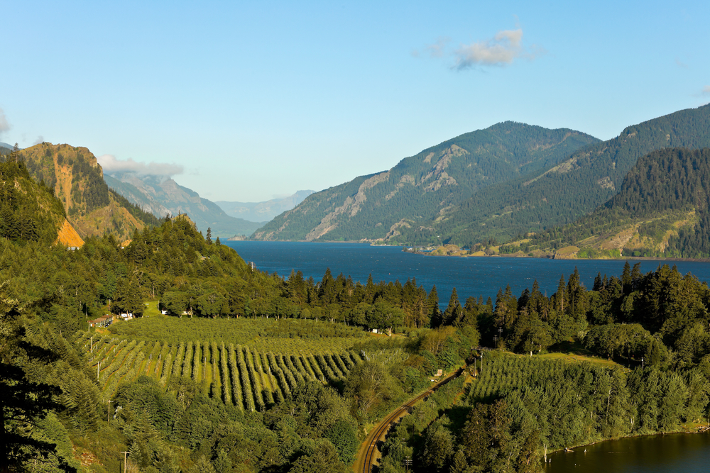 Beautiful overview of Hood River wineries