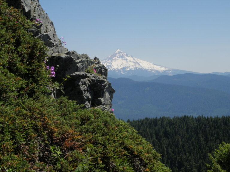 The view of Mount Hood from Larch Mountain in the Columbia River Gorge