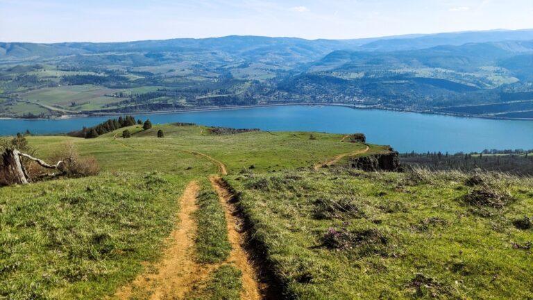 View of the Columbia River Gorge while enjoying some of the best mountain biking near Hood River