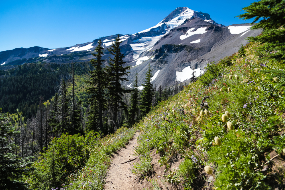 A Hike near Mount Hood Meadows