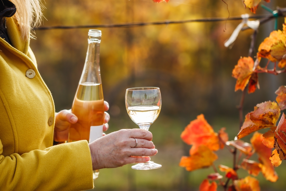 Fall Wine tasting is one of our favorite things to do in the Columbia River Gorge in the fall