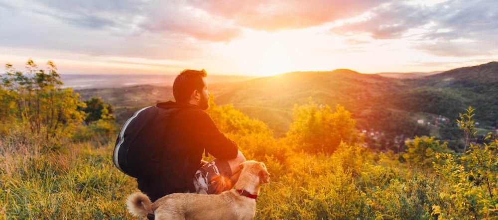 Man with his dog hiking the Dog Mountain Trail, one of the best things to do in the Columbia River Gorge With Dogs