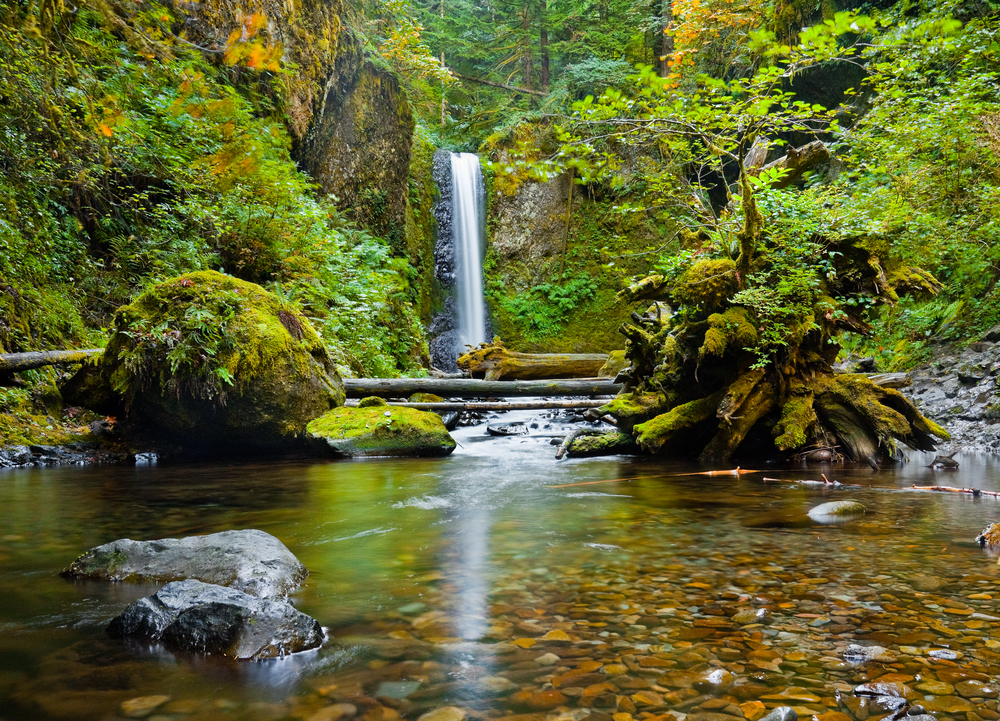 Weisendanger Falls is one of the best hidden Columbia River Gorge waterfalls