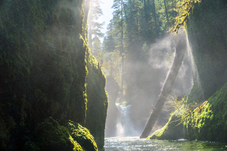 A gorgeous sunlit Columbia River Gorge Waterfall