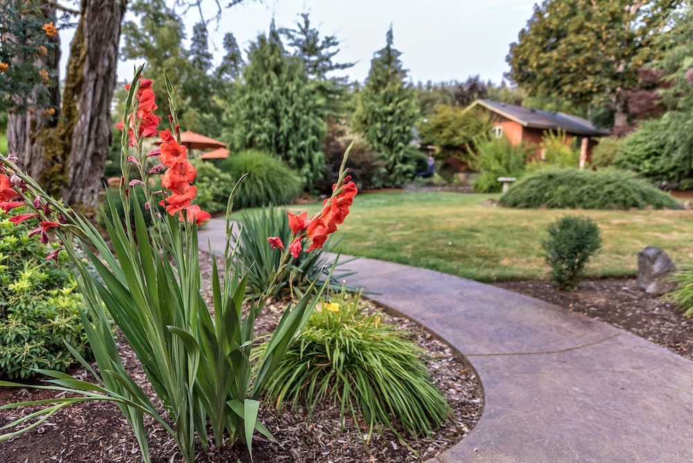 Get Lost in Nature at Falls Creek Falls, WA 9 The grounds at our luxury cabins in the Columbia River Gorge in Washington
