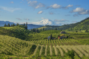 Farms along the Oregon Fruit Loop in Hood River