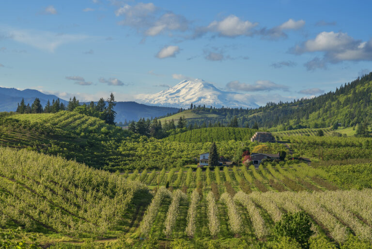 Farms along the Oregon Fruit Loop in Hood River
