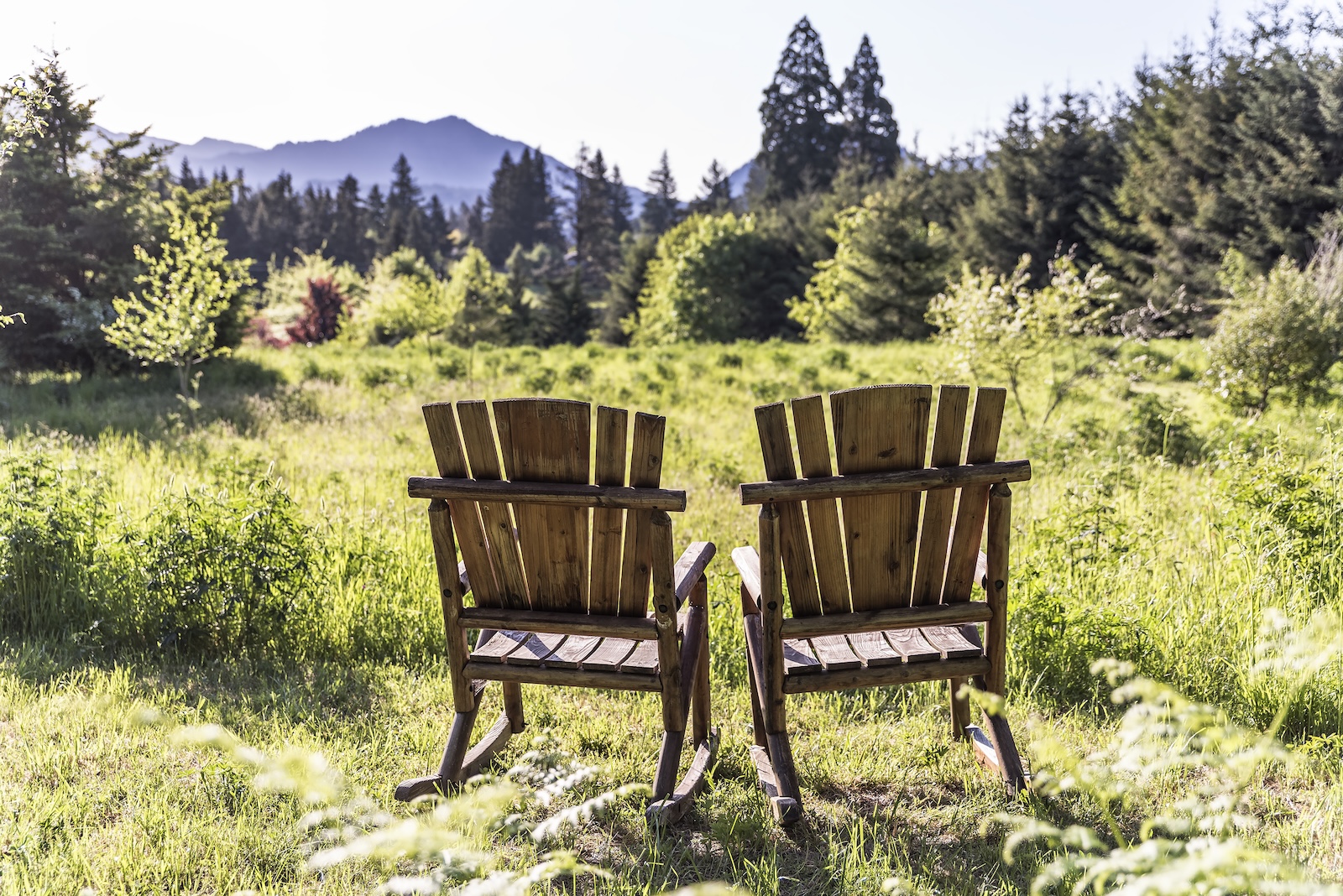 The Best Wildflower Hikes near Carson, Washington for Spring 2 two chairs in the meadow overlooking the property at our getaway cabins in Washington
